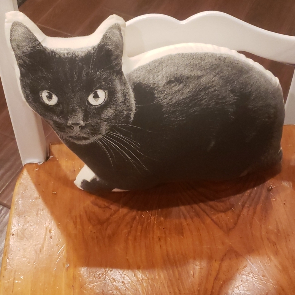 COPY - Black Cat Pillow